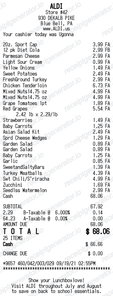 Aldi Receipt Australia - Preview of the template design