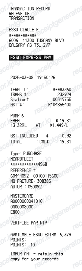 Esso Receipt Canada - Preview of the template design